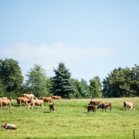 120907_hochzeitfeliciaphilipp-0242