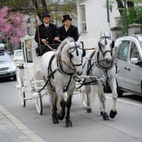 130503-HochzeitJuliaPat_016.jpg