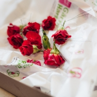 160924-HochzeitMaikeMichi_0036.jpg