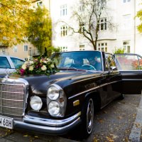 131026-HochzeitKatiFlo_222.jpg