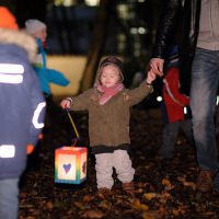 121112-martinsumzug_5684