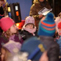 121112-martinsumzug_5835