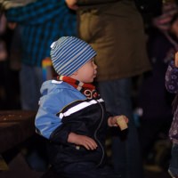121112-martinsumzug_5863