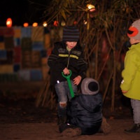 121112-martinsumzug_5900