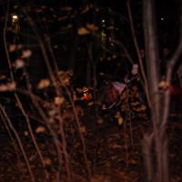 141111-StMartinBlauesHaus_31.jpg