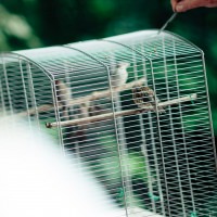 150625-Waldspaziergang_007.jpg