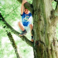 150625-Waldspaziergang_027.jpg