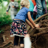 150625-Waldspaziergang_035.jpg