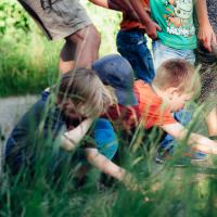 150625-Waldspaziergang_083.jpg