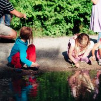 150625-Waldspaziergang_087.jpg
