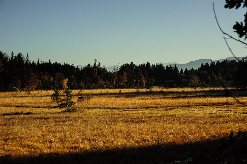 Landschaft